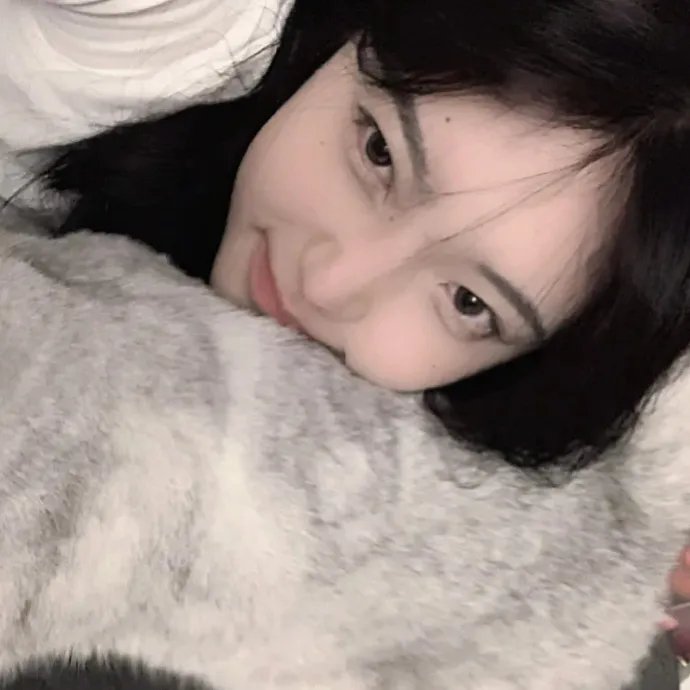 森林的终点是海